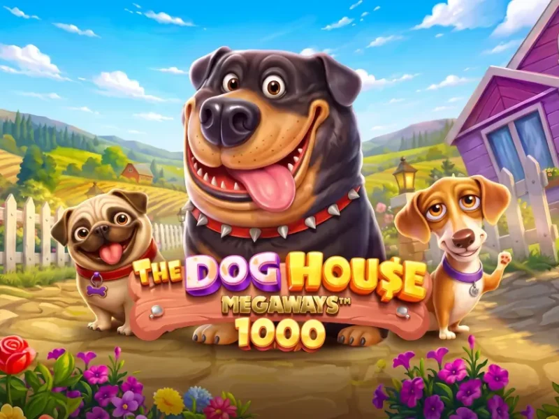 The Dog House Megaways 1000 by Pragmatic Play